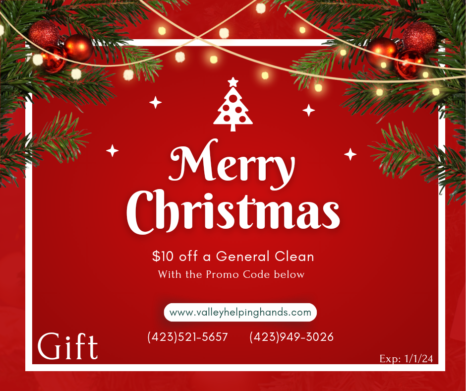 Christmas coupon $10 off General Clean